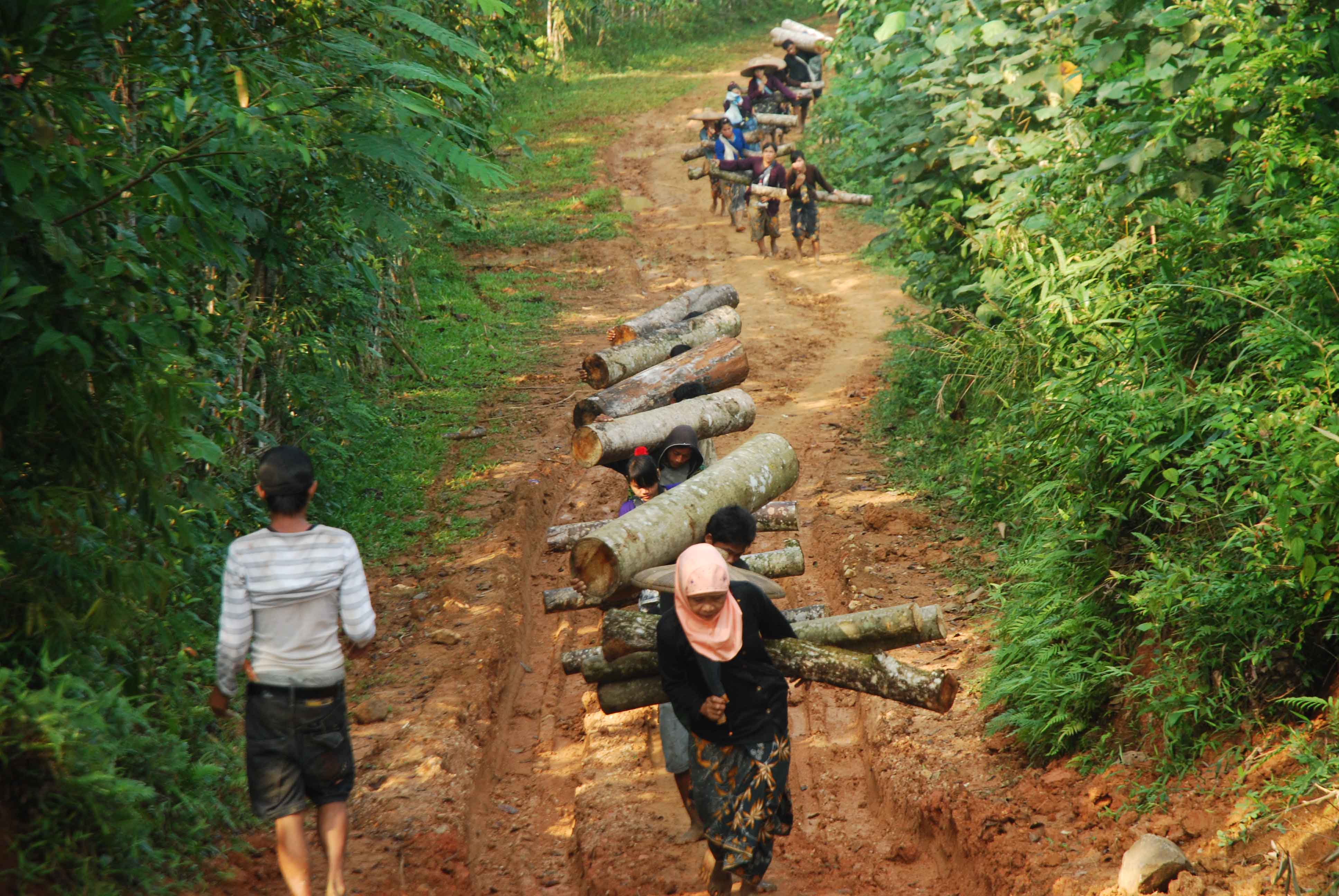 Dokumentasi Pembuatan Jalan dan Fasilitas Umum Baduy Luar — Baduy Luar, Lebak #5