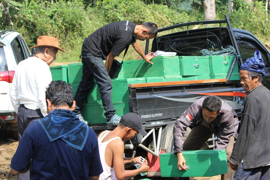 Dokumentasi Kebakaran Baduy Luar, Lebak - Banten — Kabupaten Lebak #4